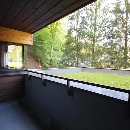 Appartement Le P'tit Choux Le Mont-Dore